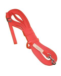 Correa Niggeloh de Control