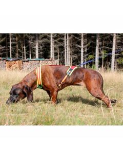 Arnés Niggeloh Follow Trail